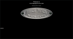 Desktop Screenshot of bigwigracecars.com